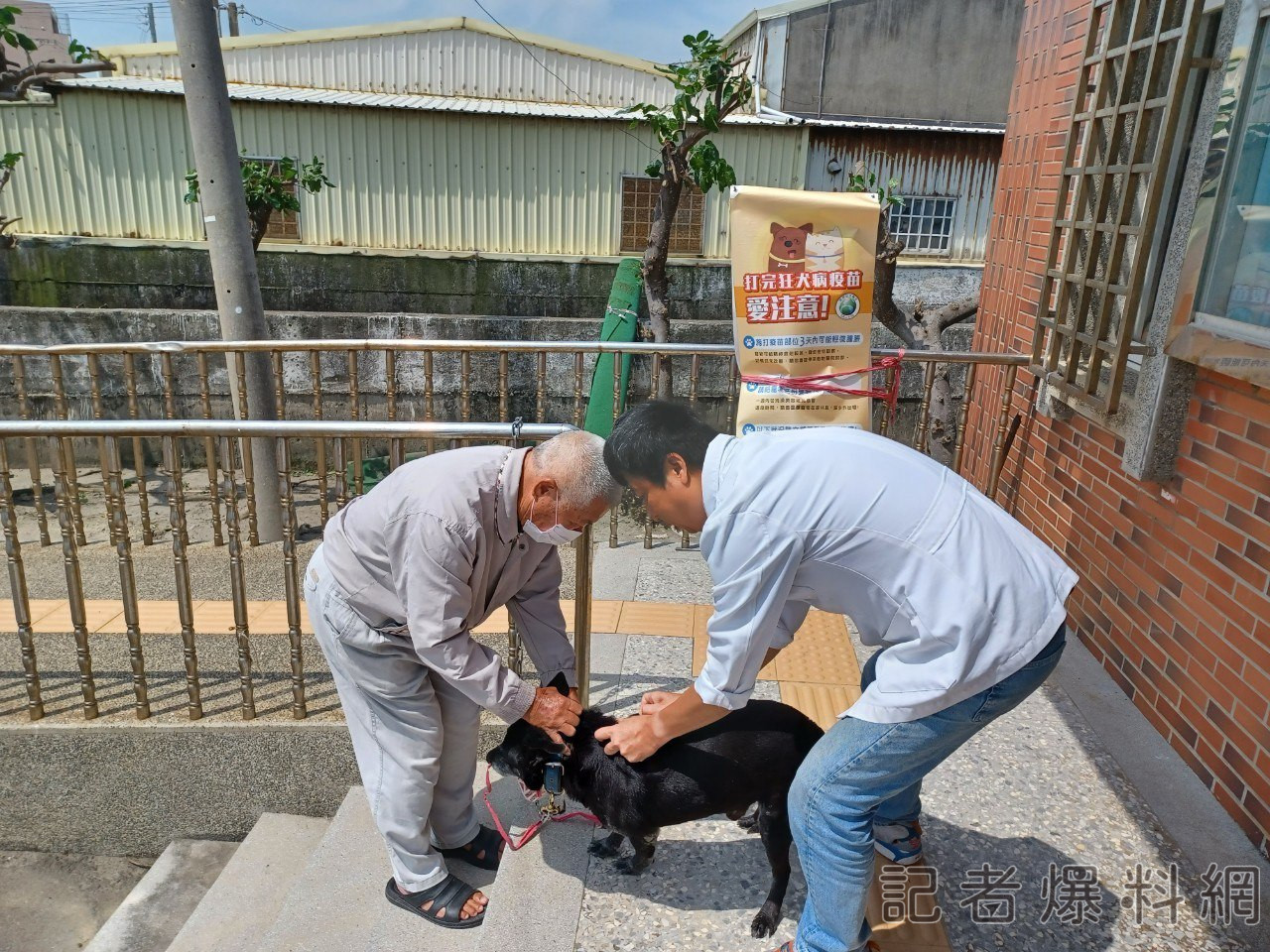 毛孩沒打這疫苗至少罰3萬元 台中今年已開罰12件