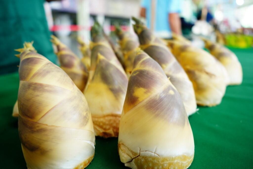 每到夏季6至9月間為臺北市的綠寶石-綠竹筍的產季