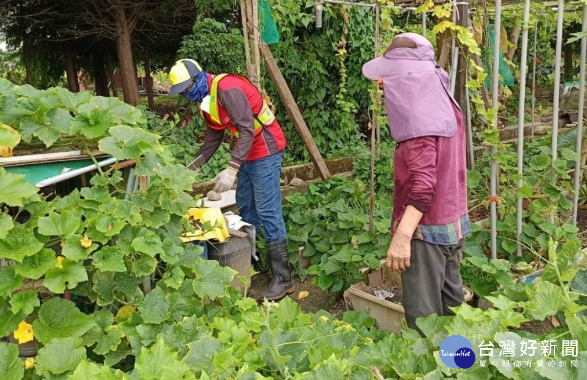 市府防疫團隊執行農園孳生源清除