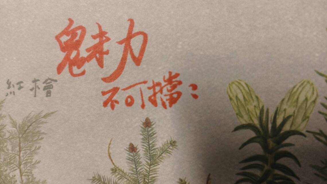 如何定義一個人的魅力？