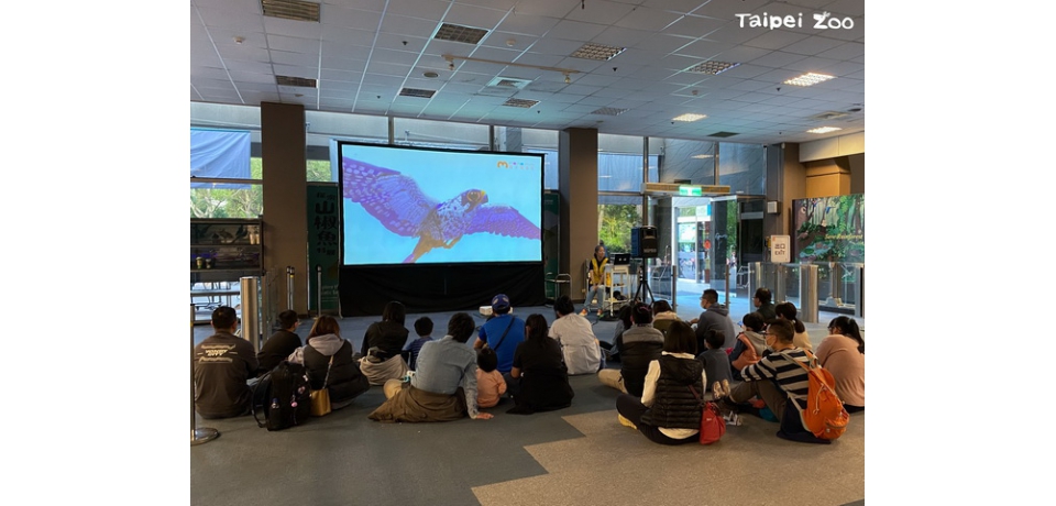臺北動物園暑期夜間延長開放 自7月6日起連續9個週六一起「夜Fun動物園」