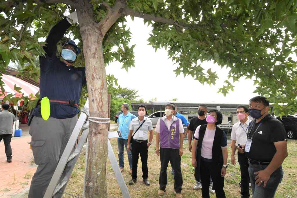 ▲彰化縣景觀樹木修剪技術認證考照正式啟動。(彰化縣政府提供)