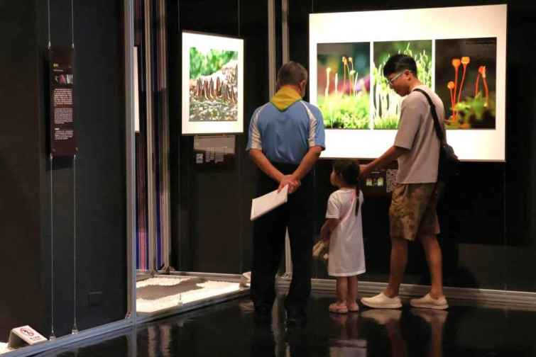 ▲科博館推出《微塵競色≋第8屆科學攝影特展》，廣邀科學迷、攝影愛好者、社會大眾一覽鏡頭下的生態奇觀和自然美景。（國立自然科學博物館提供）