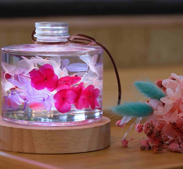 竹子湖繡球花特色農遊 淡雅芬芳萬種風情