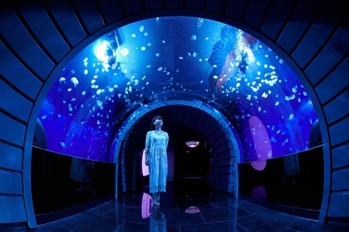 【東京水族館報告之一】池袋陽光水族館打造天空綠洲,觀賞在穹頂中漫游的企鵝!