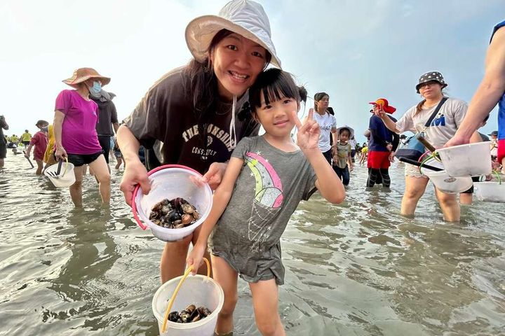 最受歡迎的挖文蛤體驗。 圖:臺南市政府觀光旅遊局/提供