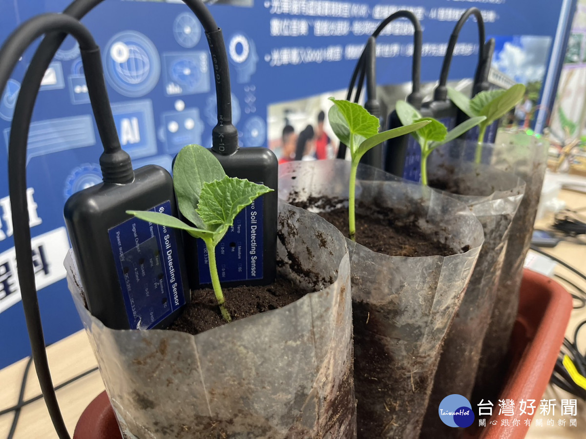 學生使用檢測器測量土壤溼度、酸鹼值及電導度並利用AI工具管理分析數據。