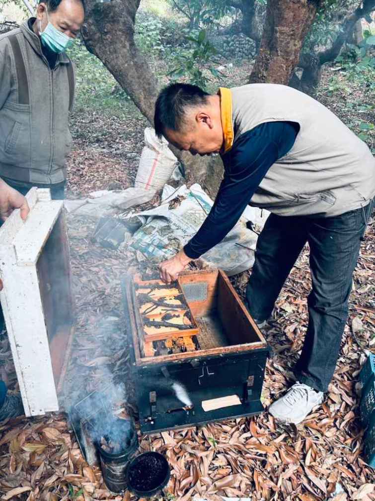 ▲現金救助額度依據「農業天然災害現金救助項目及額度」的標準，蜂群每群救助額度為450元，符合條件的農民需完成養蜂事實申報及登錄，並向申報公所提出申請。（彰化縣政府提供 ）