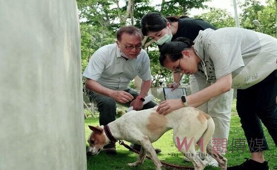 中興大學USR「寵物義診」通識課 收容所義診關懷犬貓
