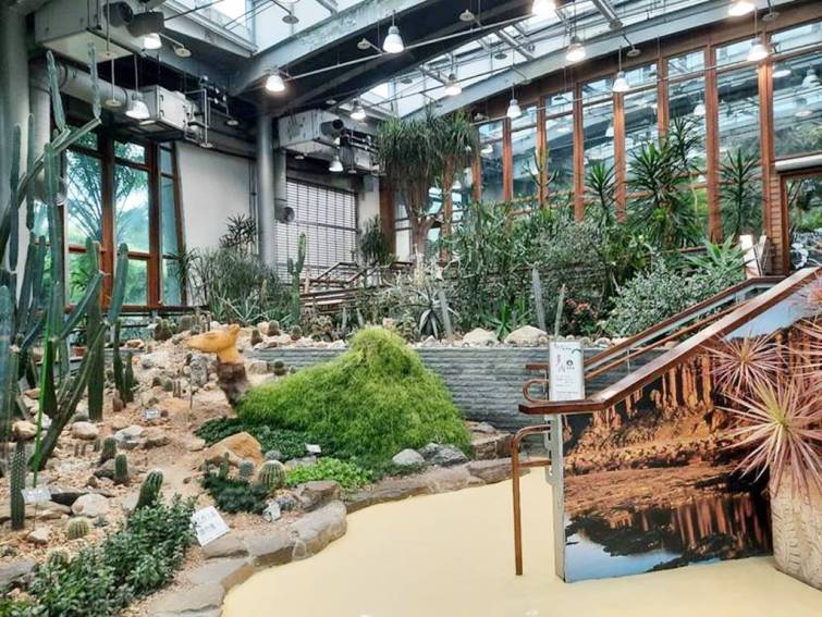 ▲台北典藏植物園館內舒適涼爽，依照植物特性規畫生態區。（台北市公園處提供）