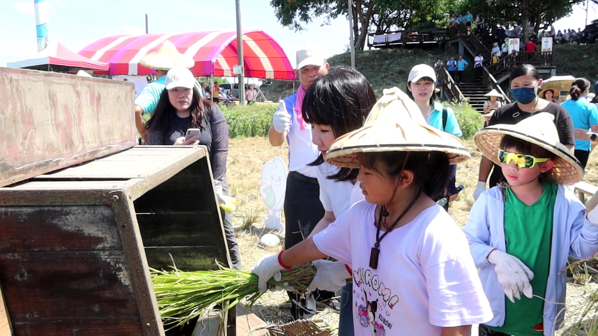 ▲溪州鄉公所與溪州農會在西螺大橋北岸溪州端橋下舉辦「虹橋愛心‧割稻趣」活動，留下愛心稻田讓民眾體驗傳統收割樂趣。（記者張溎壕攝）