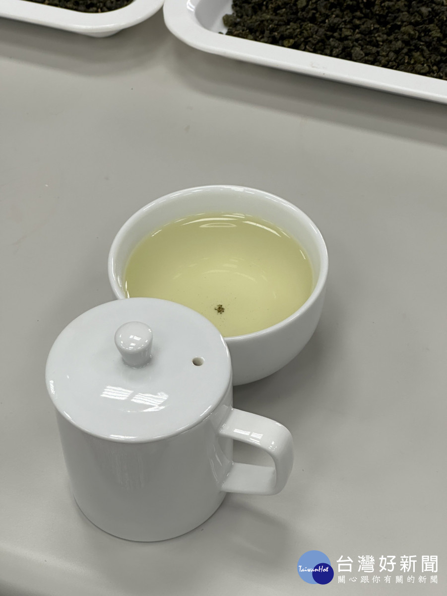 梨山茶沖泡後,茶湯水色蜜綠帶黃,香氣清揚。