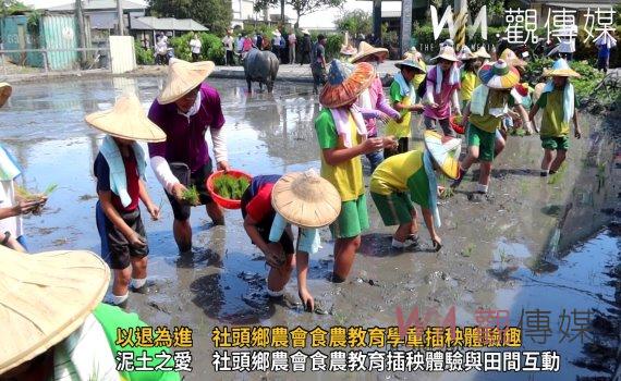 (有影片)/以退為進 社頭鄉農會食農教育學童插秧體驗趣