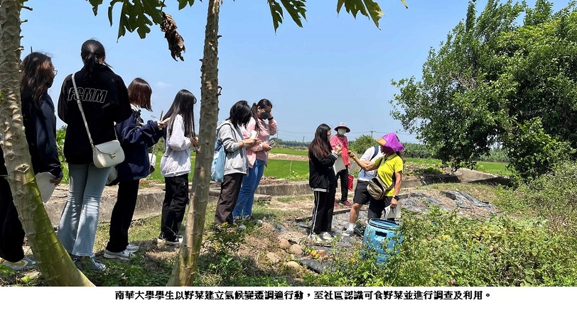 南華大學師生與社區共同響應世界環境日  以野菜建立氣候變遷調適行動