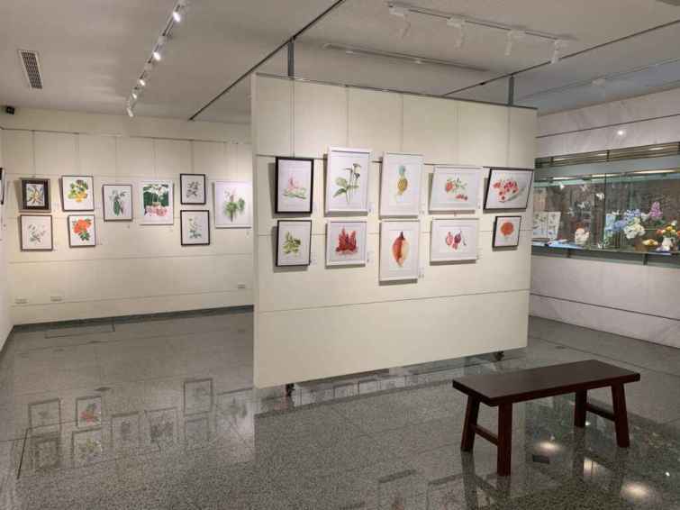▲「植物紀實2024」展覽一角。（頂新和德文教基金會提供）