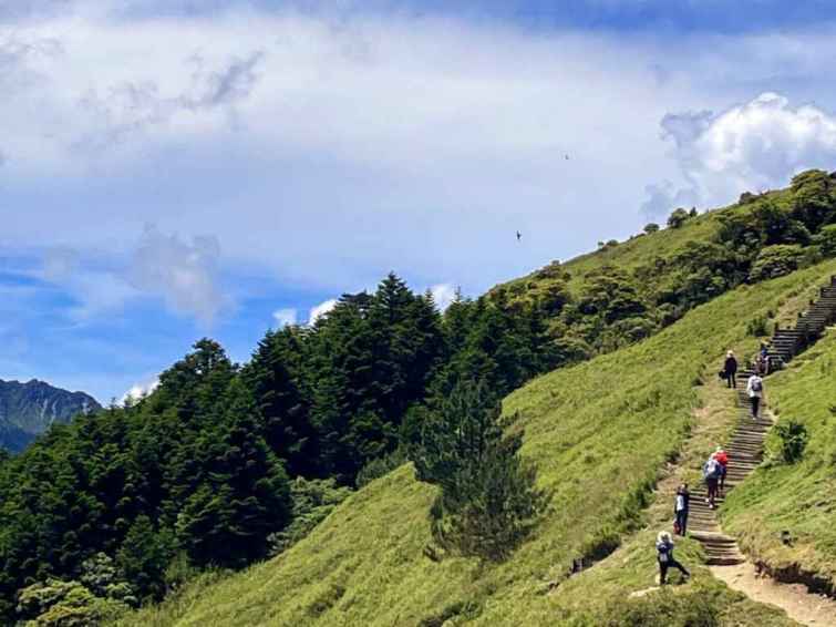 ▲合歡山海拔高、氣溫低，是想遠離平地酷熱天氣的登山旅遊民眾絕佳選擇。（林業保育署南投分署提供）