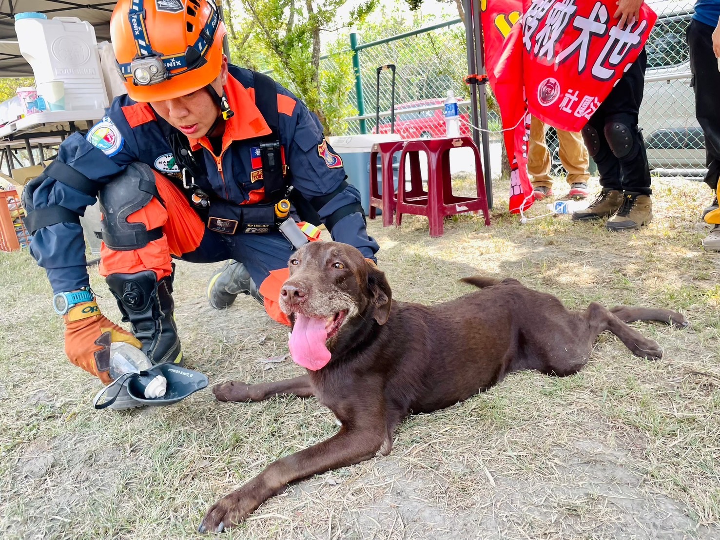 全國十大傑出女青年出爐　新北特搜領犬員羅浩芳「穿梭斷垣殘壁」獲肯定 251
