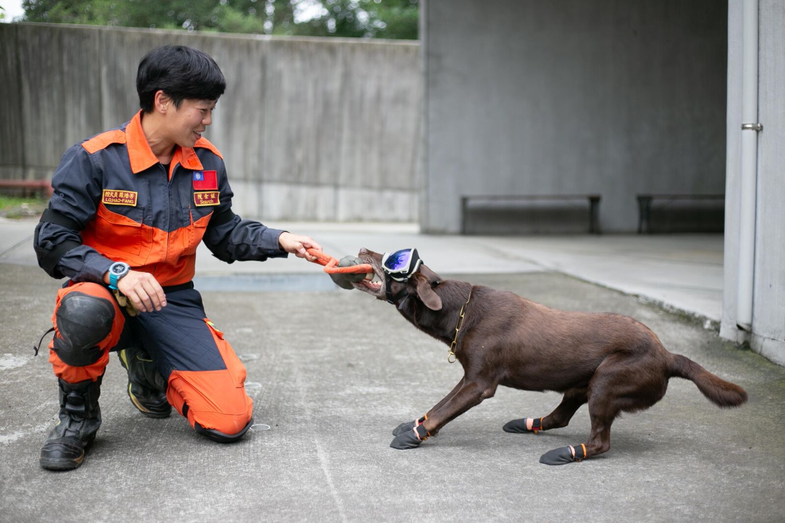 全國十大傑出女青年出爐　新北特搜領犬員羅浩芳「穿梭斷垣殘壁」獲肯定 253