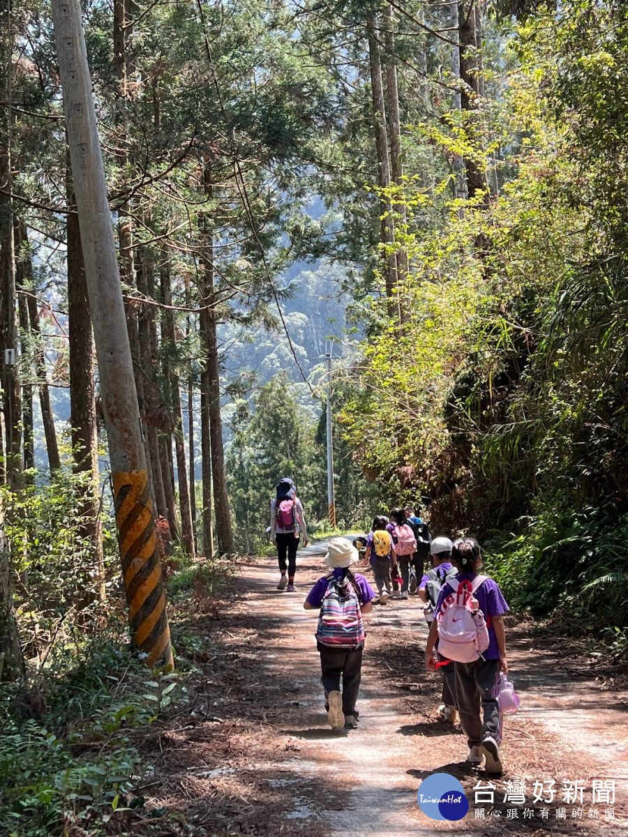 森林療癒小旅行(母樹林) （圖/林業及自然保育署南投分署提供）