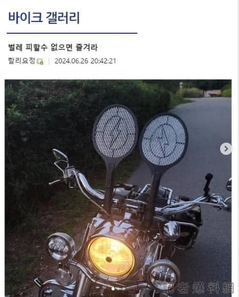 捕蚊拍 機車 蟲子