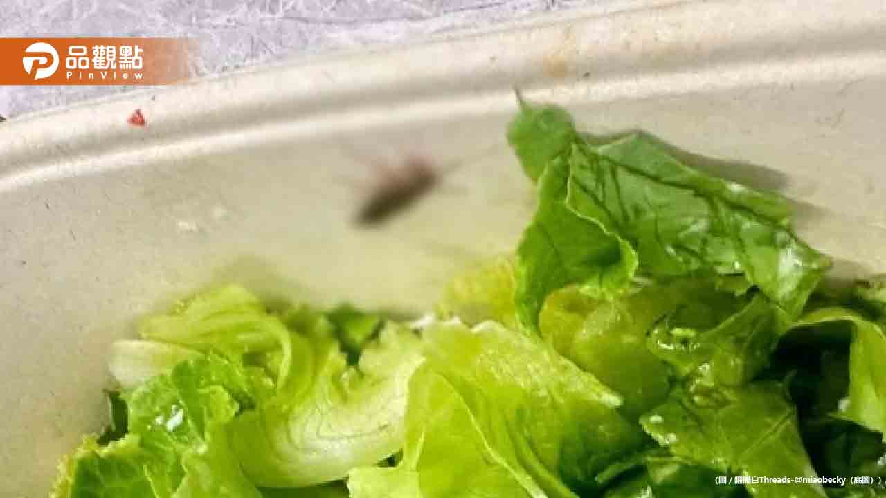 外送沙拉驚見蟑螂、燒肉店紅茶咬到蟲!網友曬圖崩潰:從此有陰影