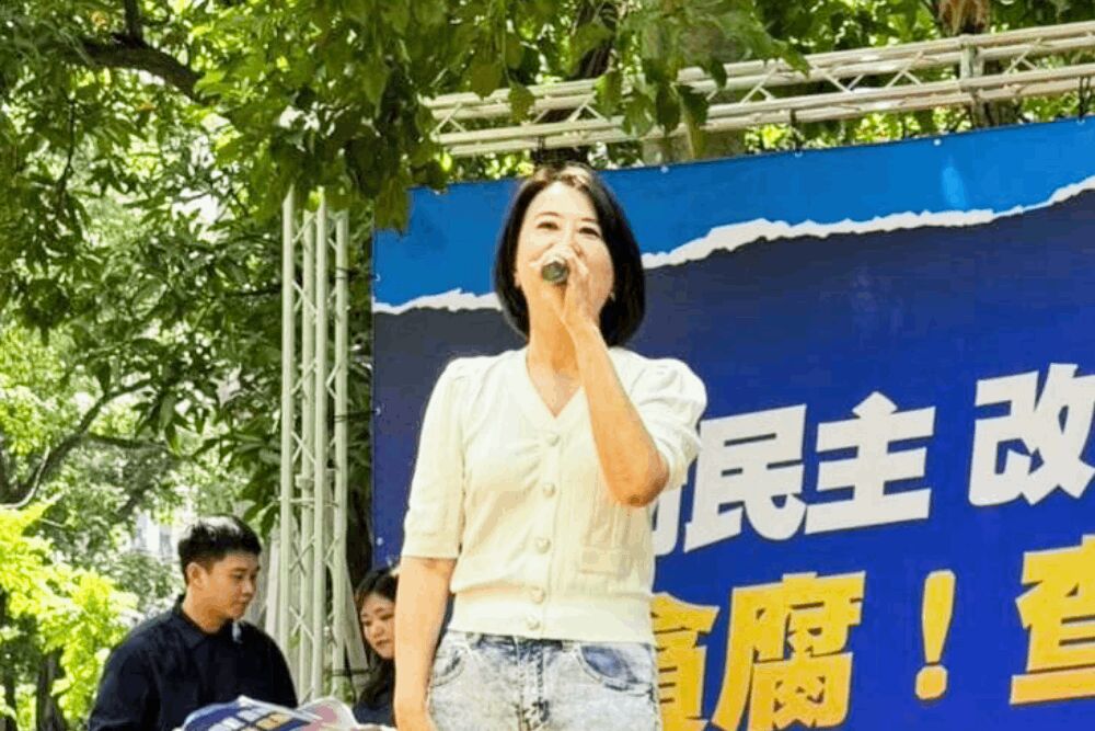【Lowi Ai大數據看立委2-2】沈伯洋當「紅」炸子雞 王鴻微轟綠造謠一條龍 245 照片來源:王鴻薇臉書照片