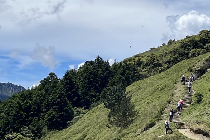 酷夏避暑趣 合歡山歡迎您