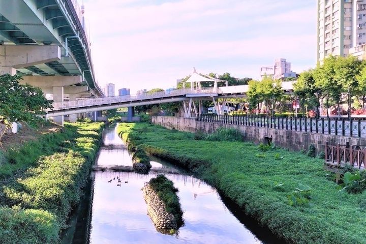 湳仔溝渠底綠意盎然。 圖:新北市政府水利局/提供