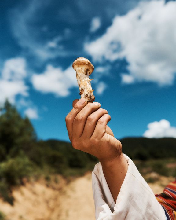 探索不丹魅力 雷龍之國不可錯過的五大節慶體驗