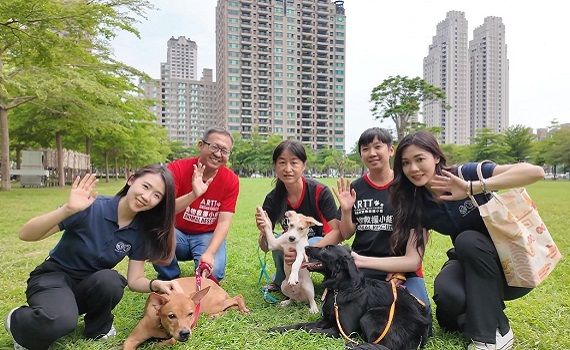 拯救浪浪刻不容緩！GOMO PET FOOD邀您一同認購飼料，伸出援手