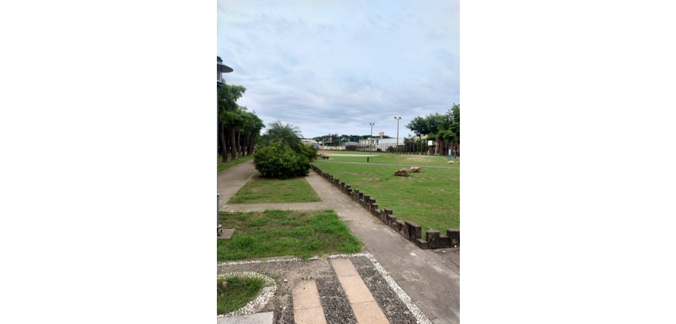 台電公司大林發電廠公園造景植樹減碳　嘉惠地方
