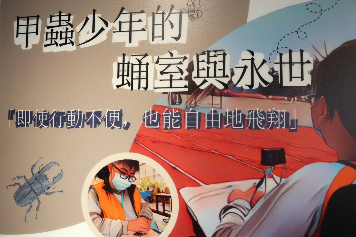 與蟲共「伍」罕病少年陳麒伍的「蛹室與永世」書畫甲蟲展