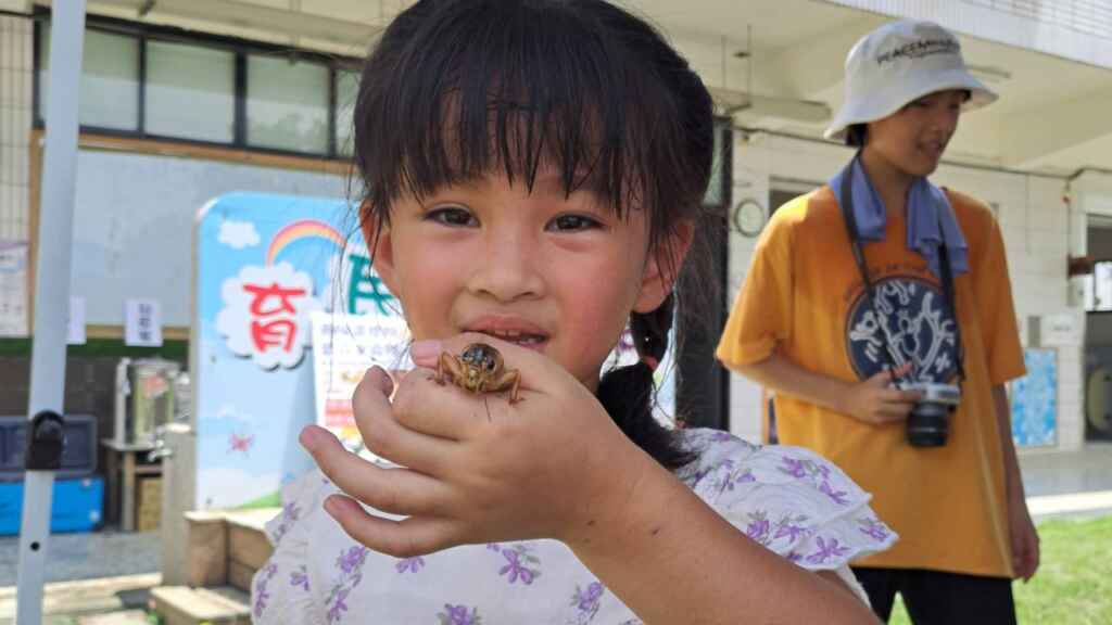 ▲幼童們在「灌蟋蟀」活動中熱情高漲。(育民幼兒園提供)