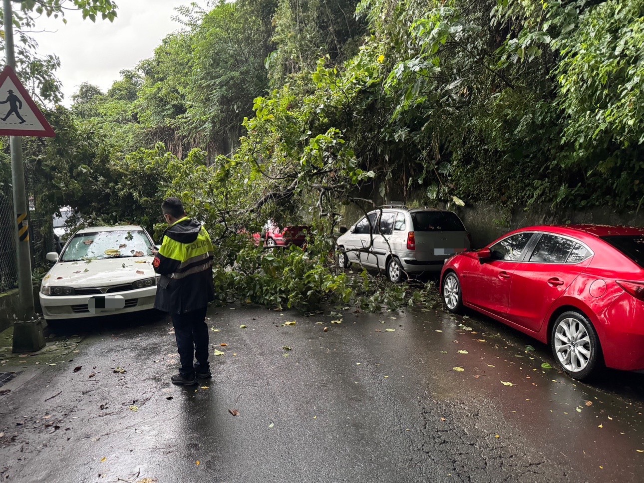 臺北市文山區突降短暫雷雨,猛烈的雨勢導致中埔山登山入口處路樹傾倒,阻礙交通。(記者黃荷琇 翻攝)