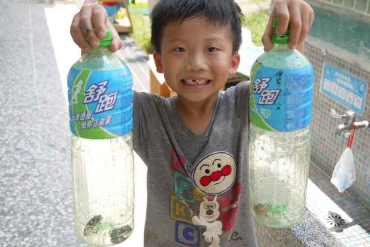 ▲幼兒園小朋友展示抓到的蟋蟀。（大葉大學提供）