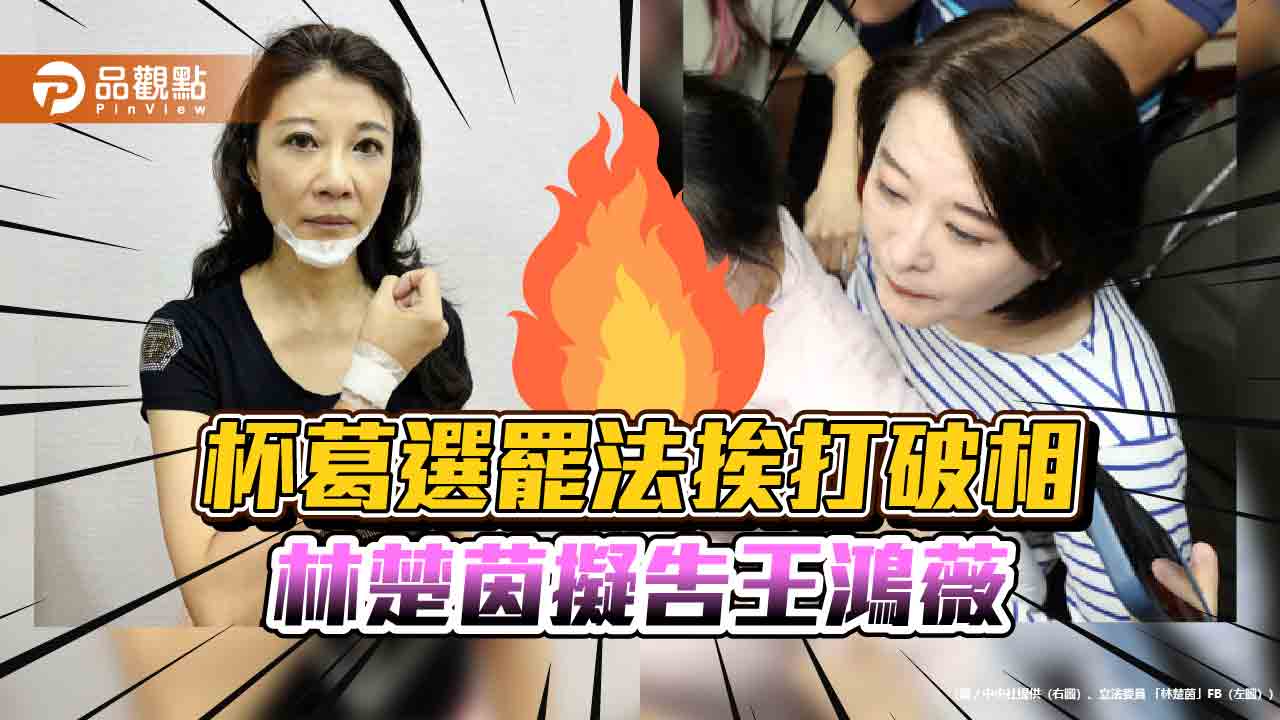 綠營杯葛選罷法癱瘓委員會 林楚茵挨打破相擬提告