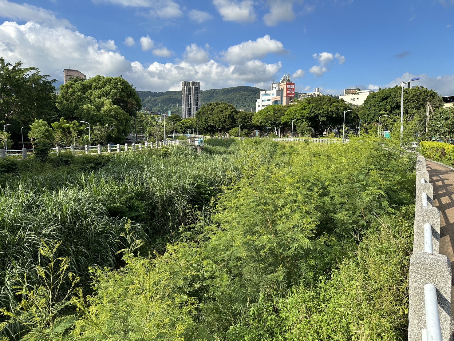 蔣萬安市府挪河濱公園修繕經費辦「水舞」　王欣儀：別拿市民生命開玩笑 209