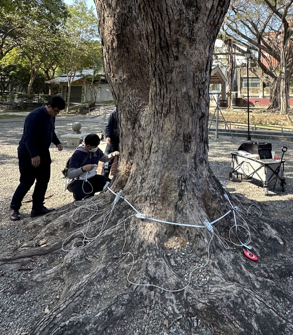 有志一同 歡迎認養守護臺南列管老樹