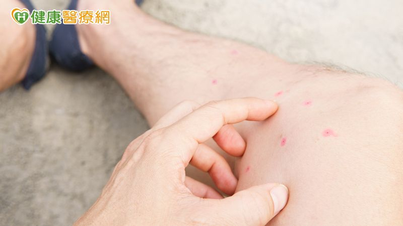 登革熱無明顯症狀卻倍感疲累！　中醫調和脾胃保生機