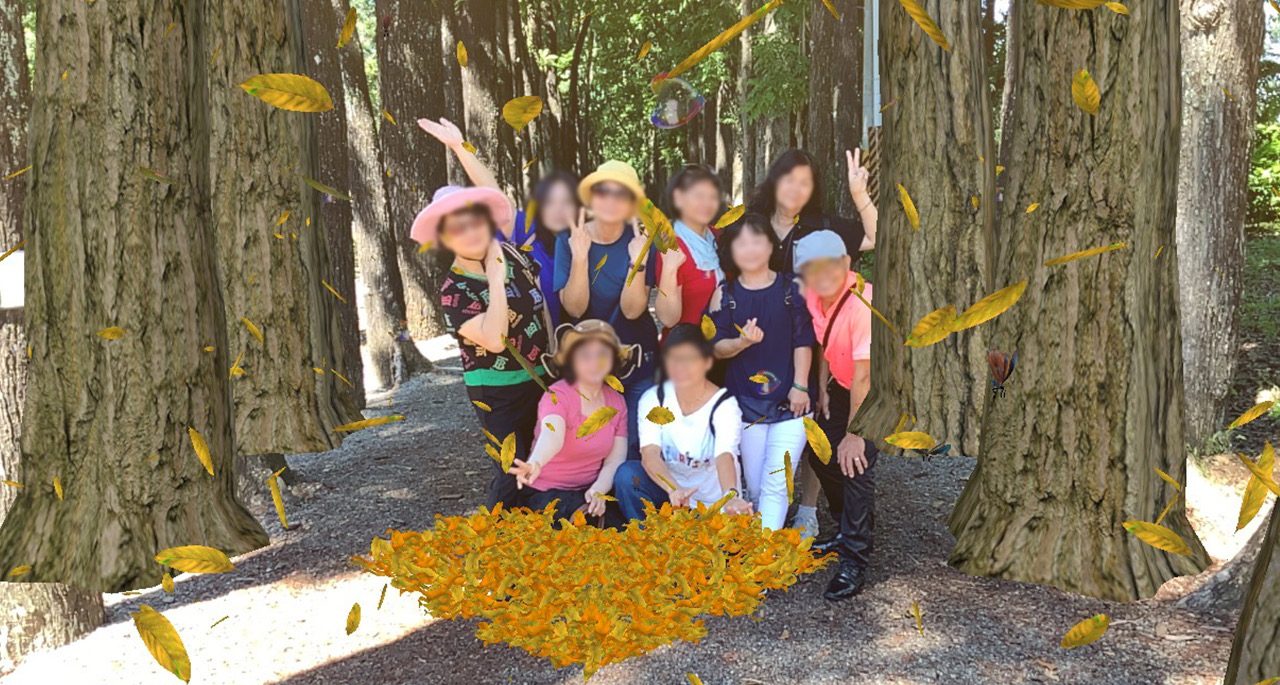 漫遊「桃花心木步道」　AR觀光特色導覽帶你遊茂林