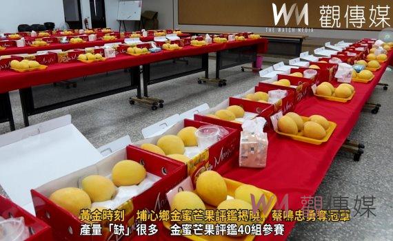 (有影片)/黃金時刻 埔心鄉金蜜芒果評鑑揭曉 蔡鳴忠勇奪冠軍