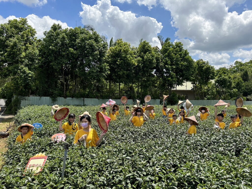 圖說:隨緣茶空間-採茶體驗。