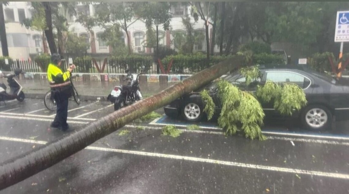 台南暴雨東區樹倒傷車