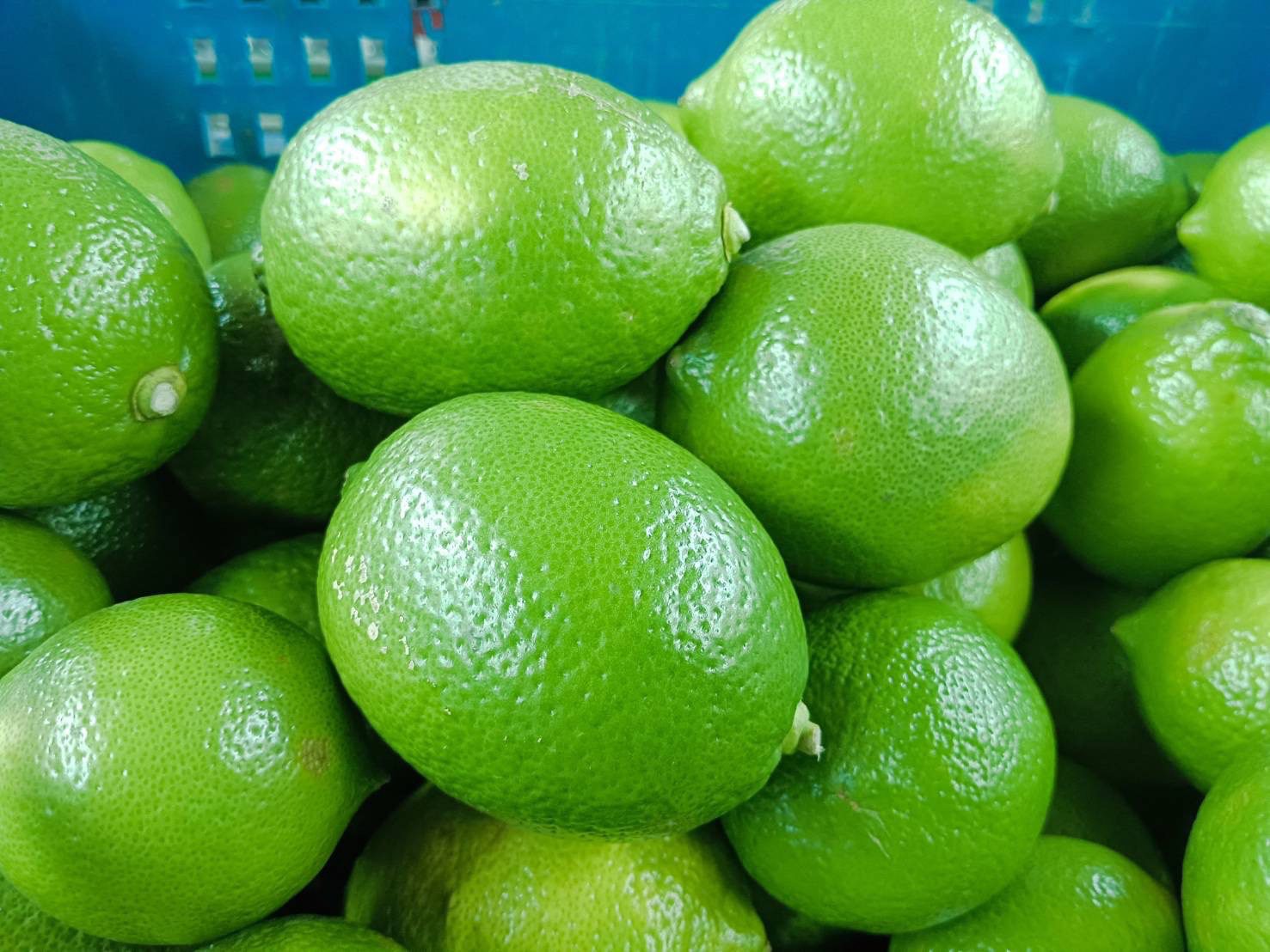 夏日來杯冰涼檸檬「優利卡」　好消暑