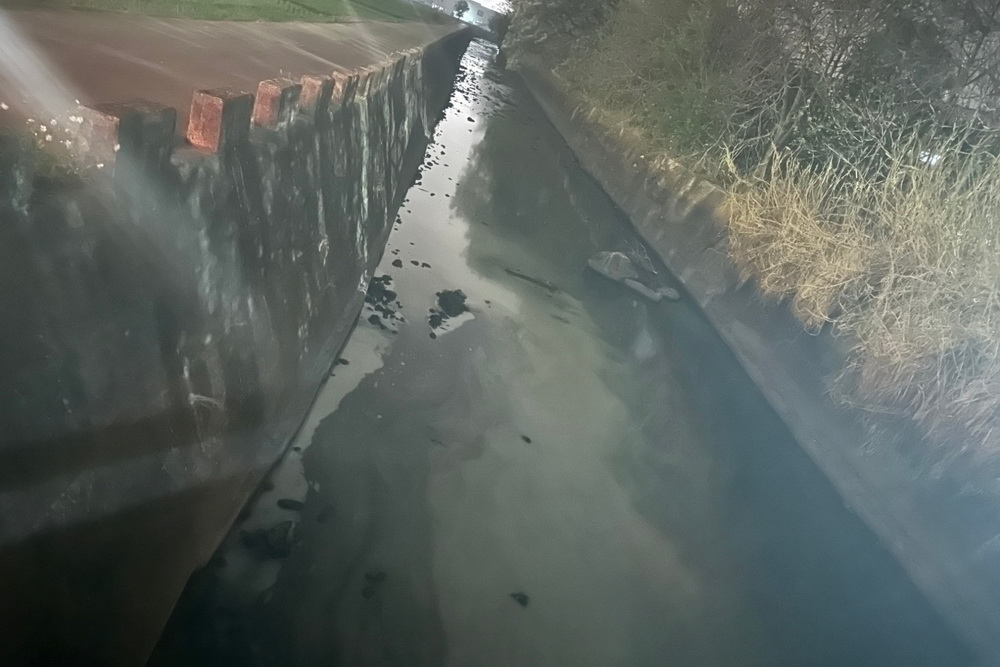 廢潤滑油直接倒圳溝 中檢聲押兄弟檔 256 廢潤滑油直接倒圳溝 中檢聲押兄弟檔 255
