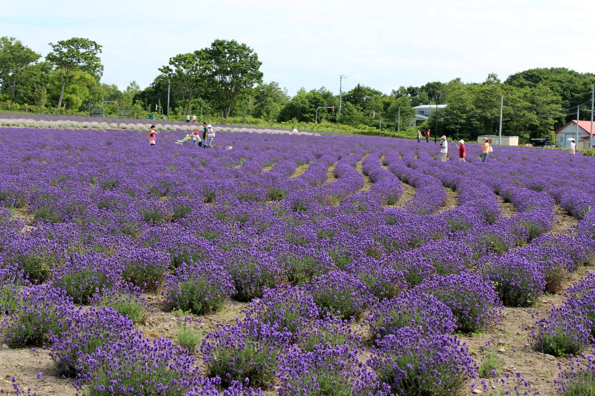 想吃蟹蟹來北海道三大蟹產地〜紋別市就對了！