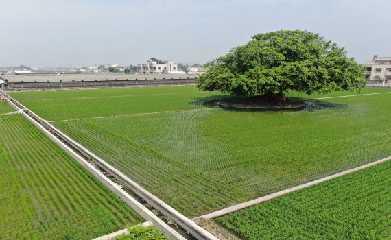 彰化縣政府公告農地標售活動即將展開　適合擴展農場規模