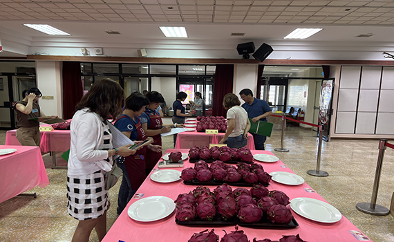 蘭陽紅龍果品質評鑑競賽 員山鄉農會囊括紅肉組前六名