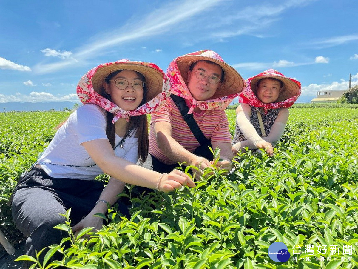參山風管處邀大眾報名一日製茶師茶鄉體驗營。（參山風管處提供）