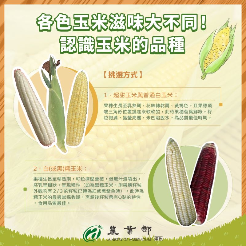 (圖/農業署)